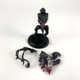 Tyranid warriors  incomplet