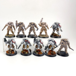 Primaris reivers