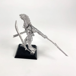 Guerriers Construct Cynwäll